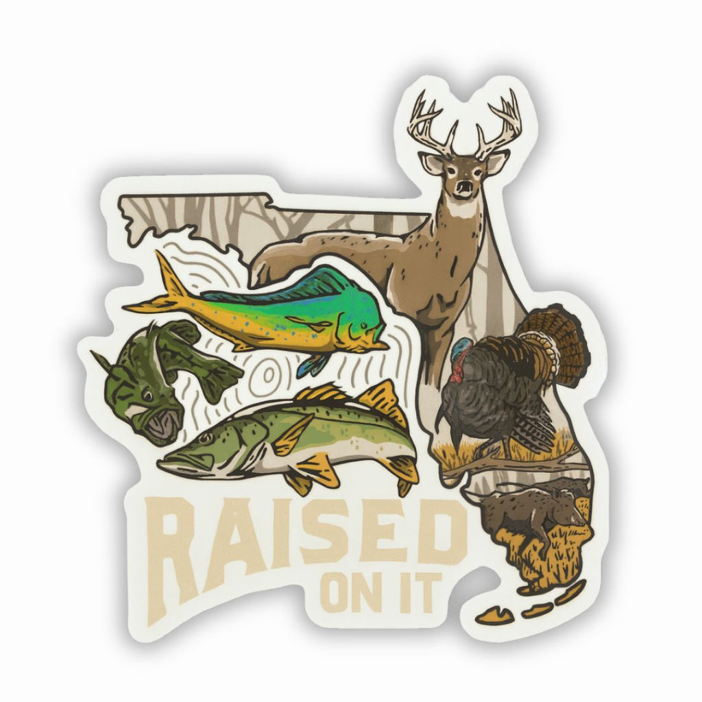 Ultimate Sticker Pack | 10 Stickers